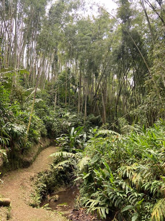 Surrounding environment