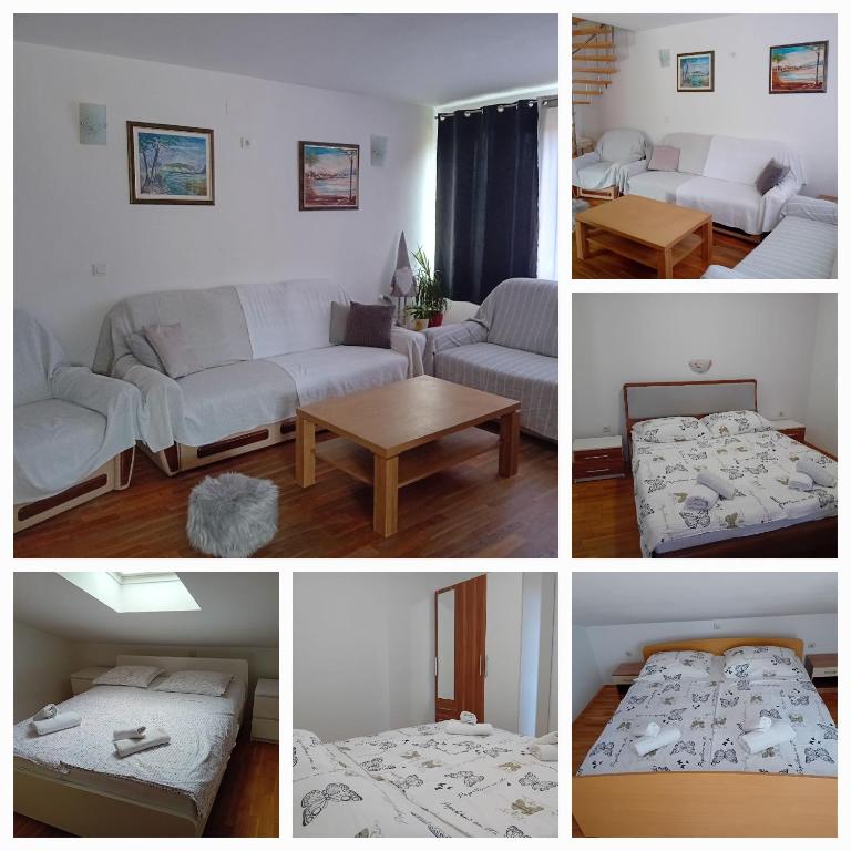 Apartmani Ana i Predrag photo