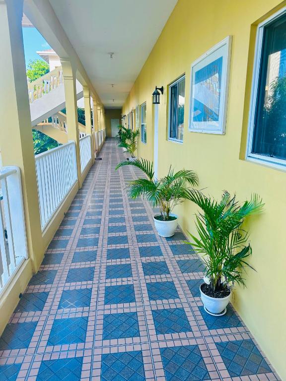 Spring Palm Estate photo