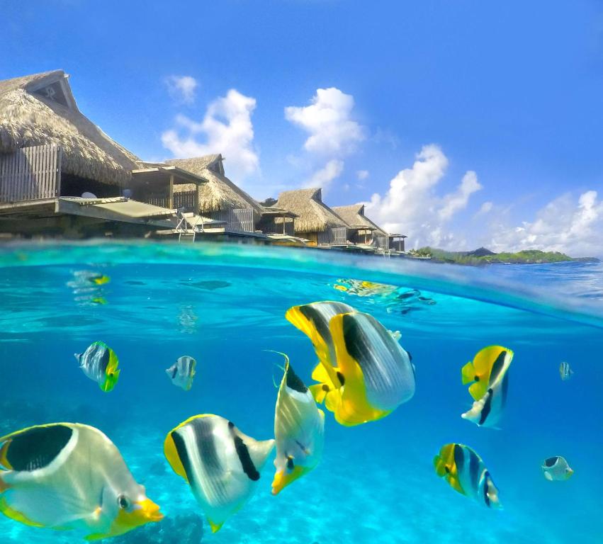 Sports and activities