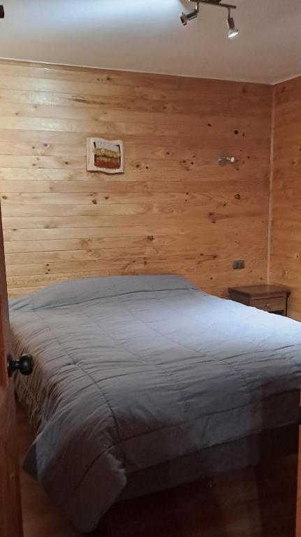 GLAMPING CABAÑA HOLMBERG - 4