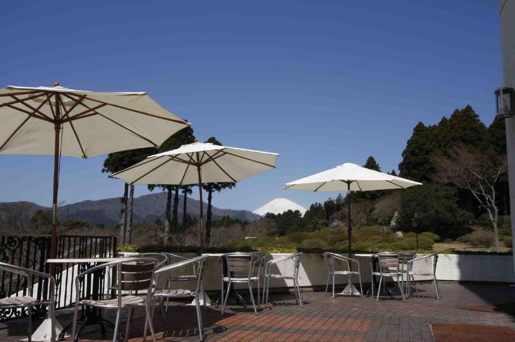 ผับ/เลาจน์