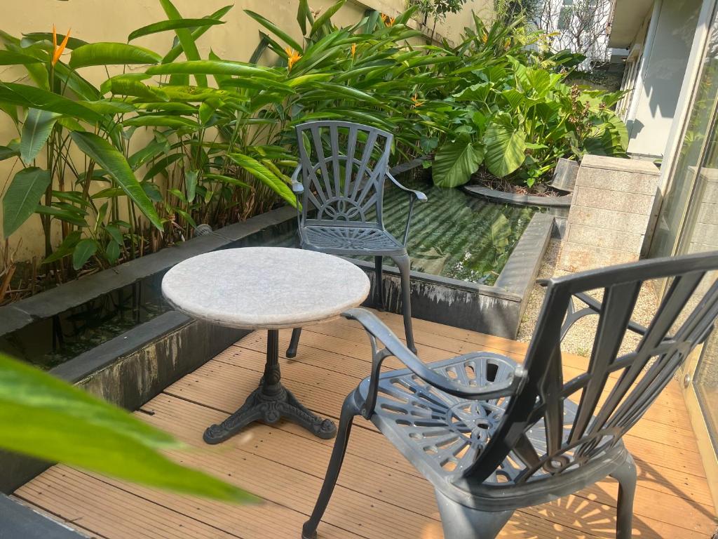 Garden