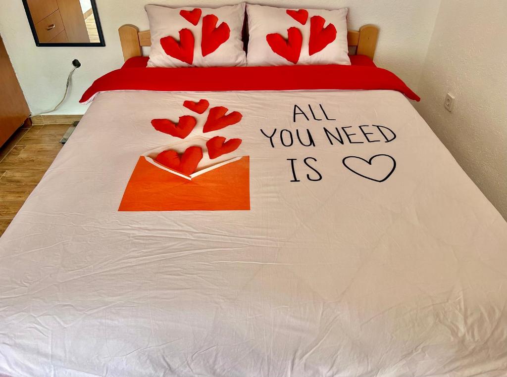 Homestay Mark - DOUBLE BED ROOM - shared bathroom - 3