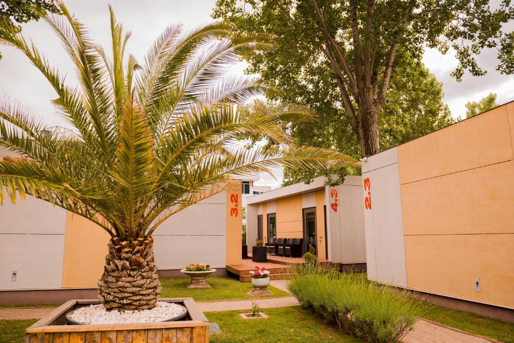Enigma Resort photo