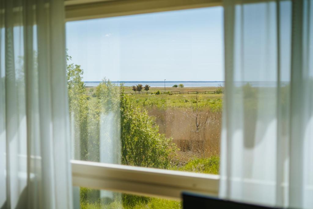 Surrounding environment