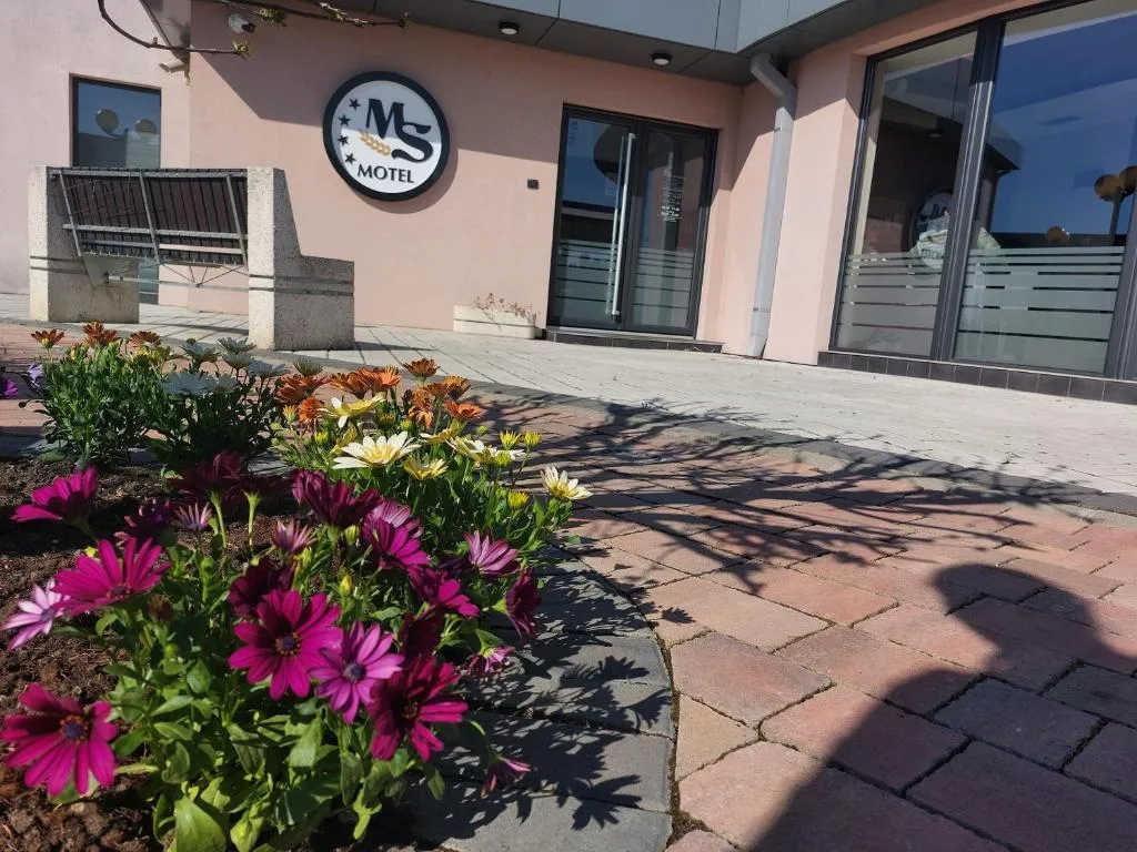 Motel MS，位于Srpski Itebej的酒店