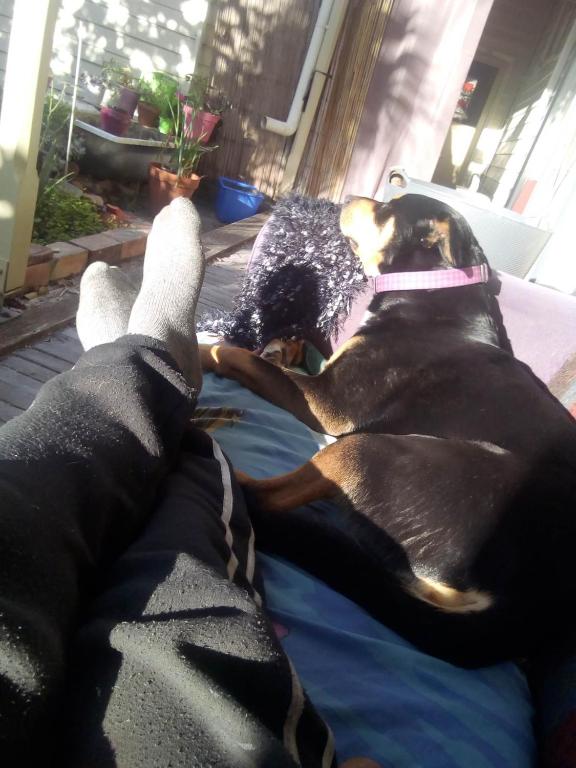 Sylvia Lodge A step back in time pet friendly Homestay photo