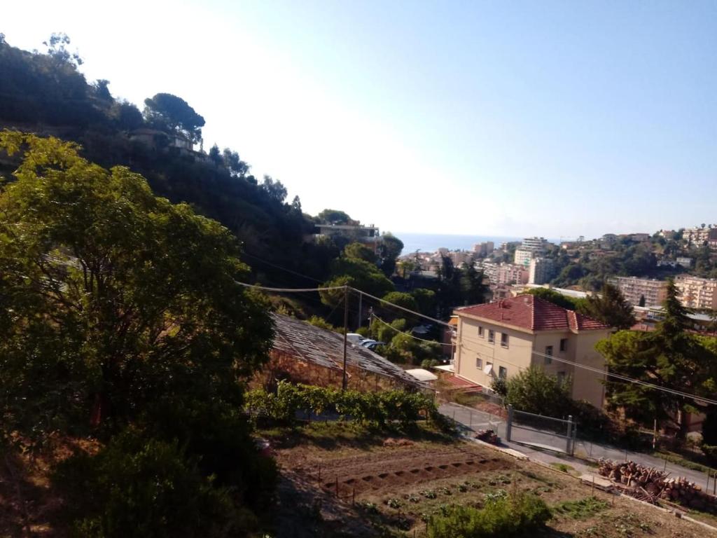 Villetta Alberti - 4