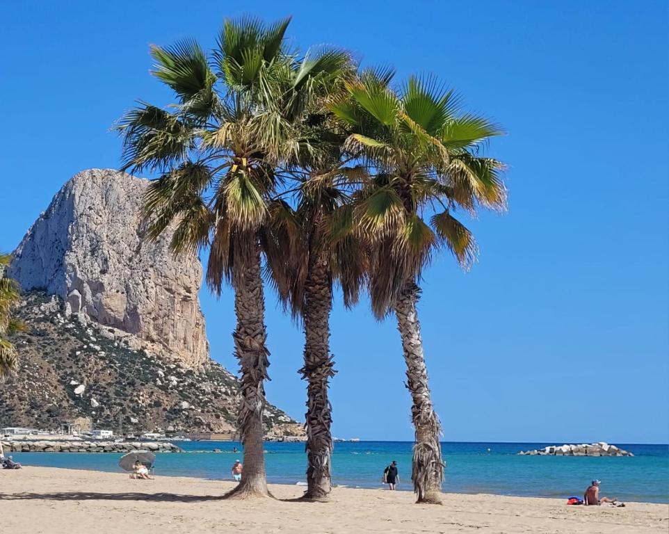 The Jungle, Calpe