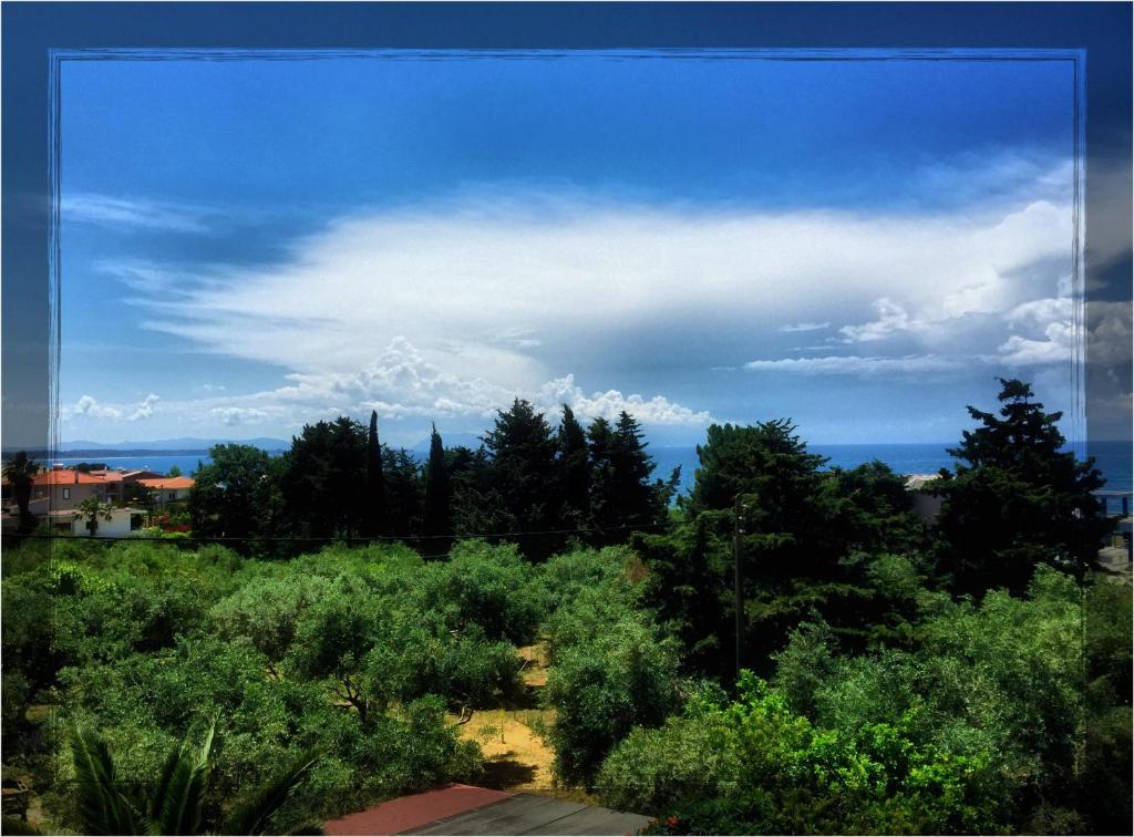Surrounding environment