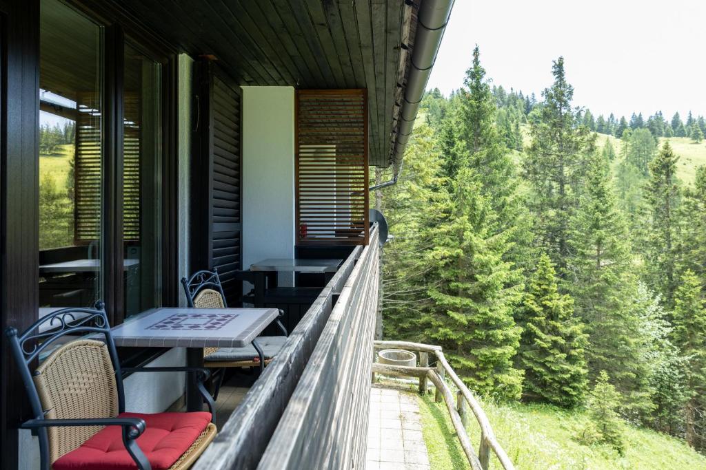 Apartma Krvavec photo