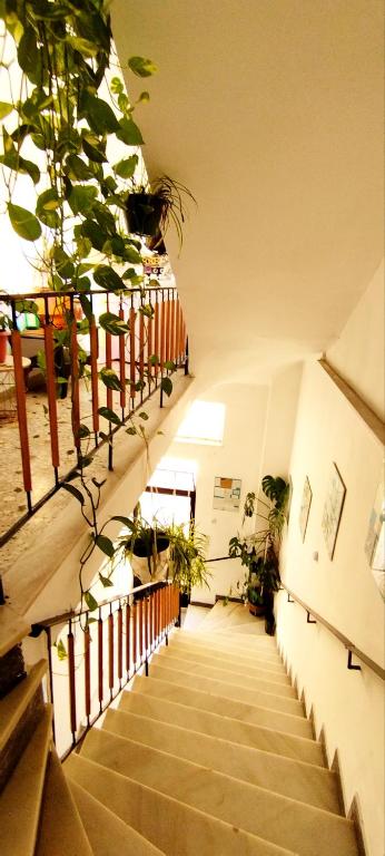 Cozy room in quiet neighbourhood photo