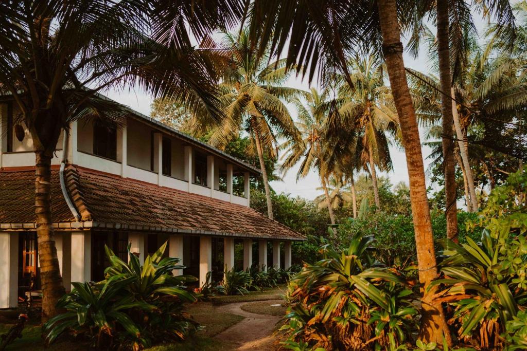 Amuura Beach House photo