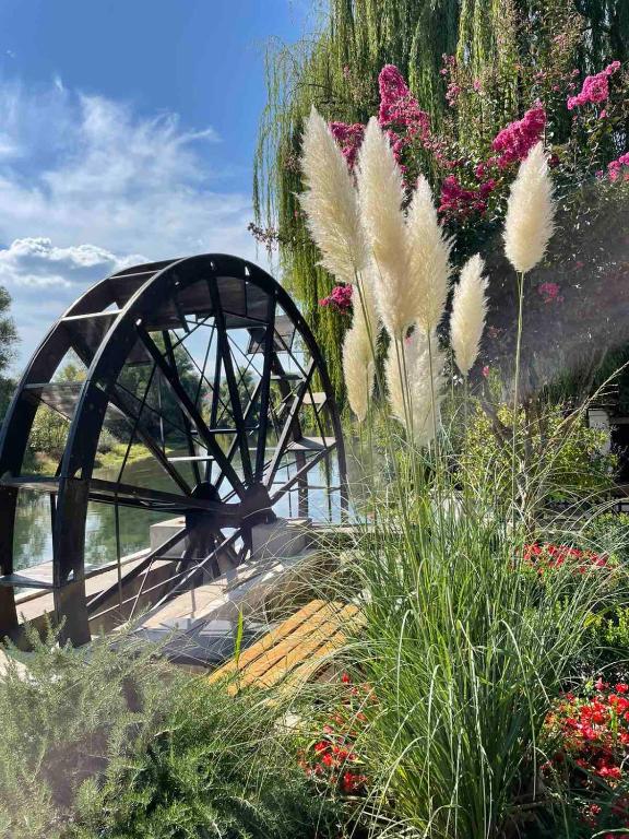 Villa Old Garden - 2