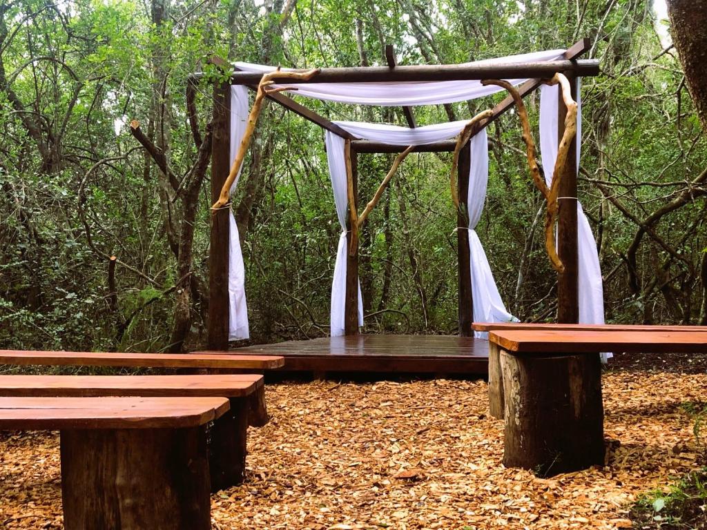 Teniqua Treetops photo