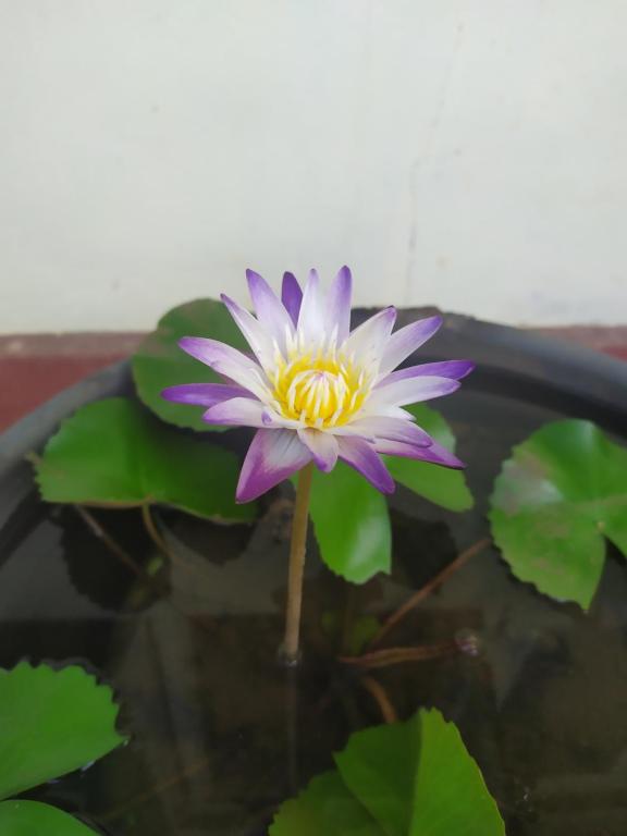 Leisure in Galle, Galle