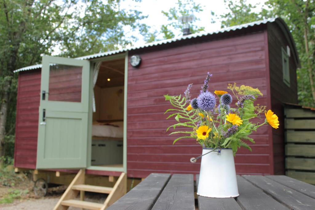 Cosy Shepherd's Hut with Hot Tub, Church Stretton