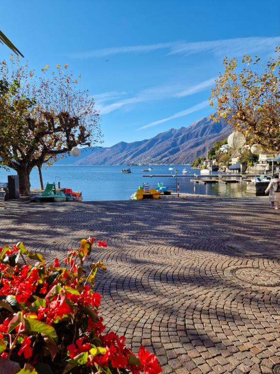 View, Hotel Elvezia Ascona in Ascona