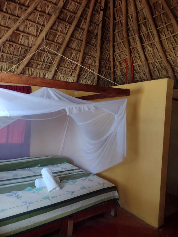 Posada Ecohabitas photo