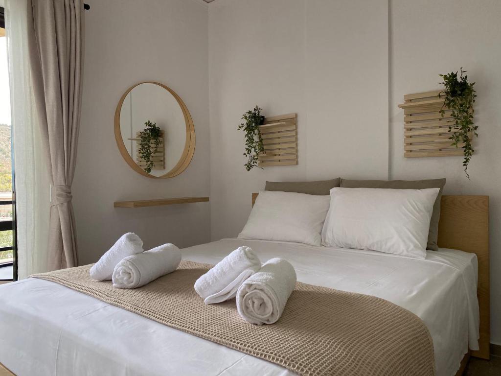 The Lemon Breeze Studio, Tolo