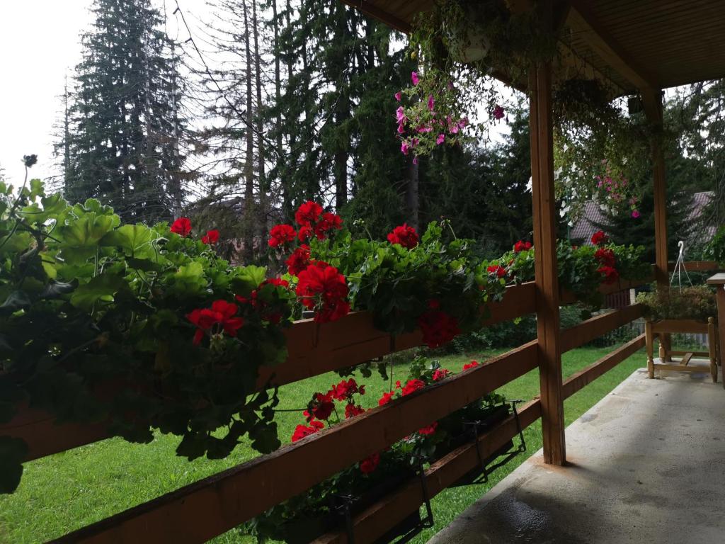 Cabana Fantanita cu Brazi — Hotel in Poiana Brasov