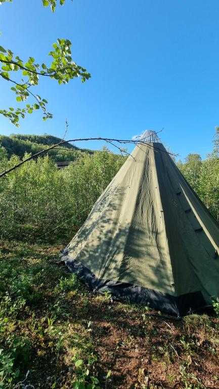 Elvestua photo