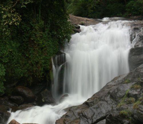 Munnar Pavithra Riverview Homestay photo