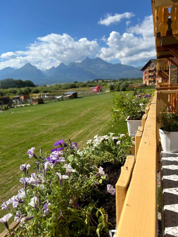 ApartLiv, Veľká Lomnica