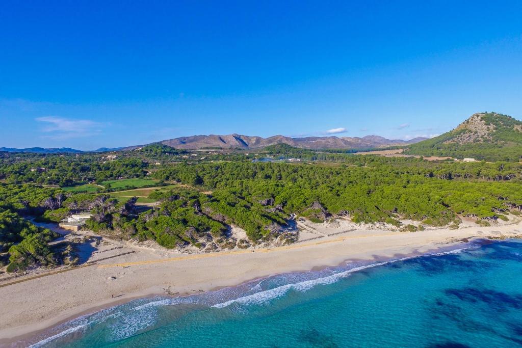 Ideal Property Mallorca - Son Frau - 5