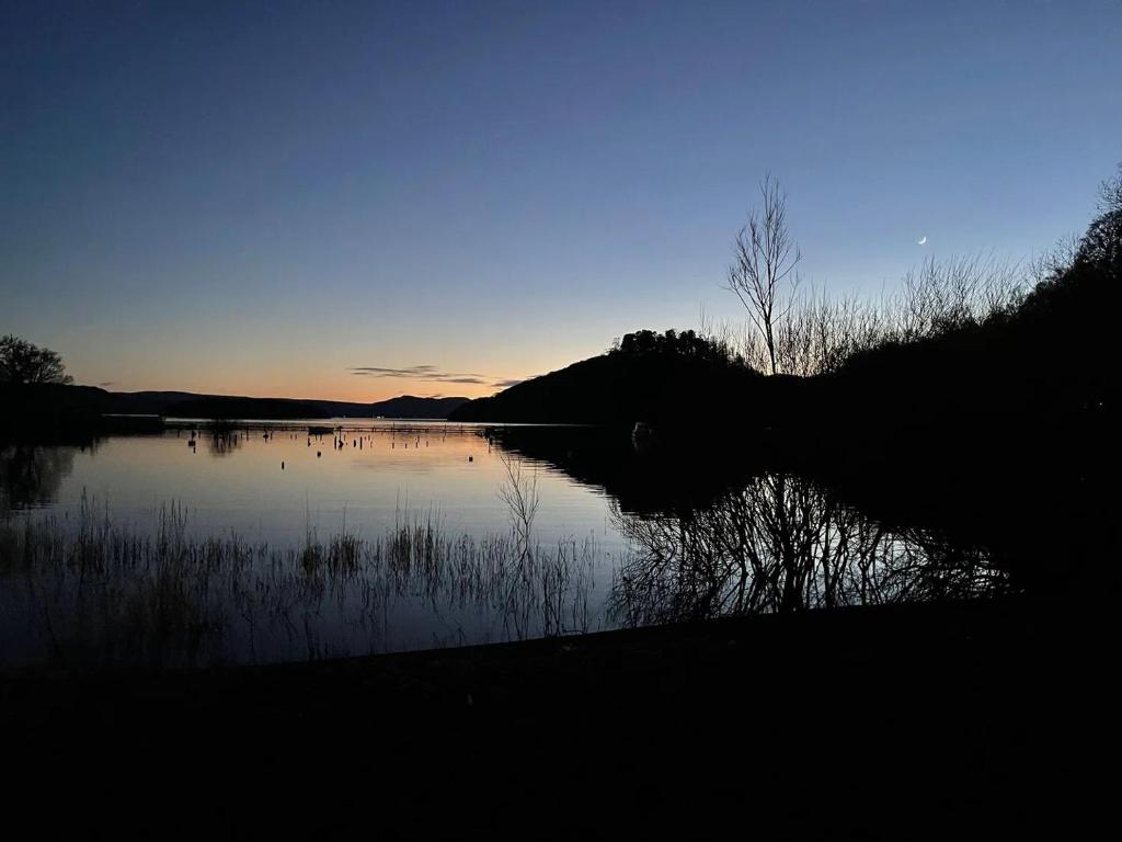 Pheasant Lodge, Balmaha photo 6