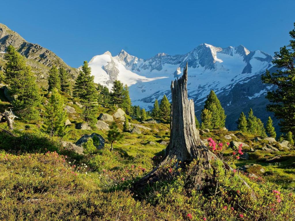 Chalet Hochkrimml with sauna on the ski slope, Nothdorf