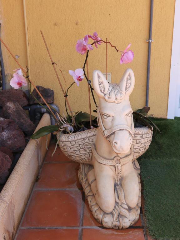 Casa Vazquez - 2