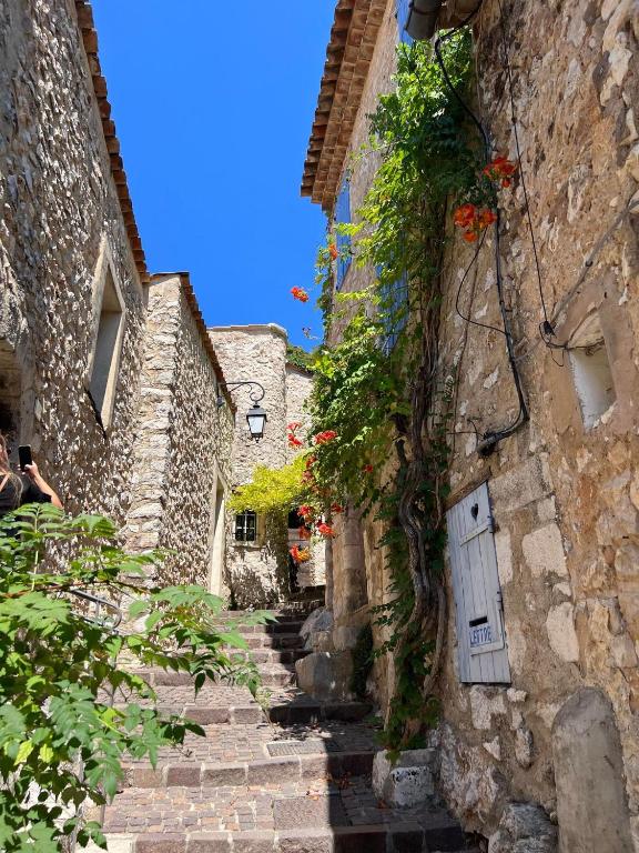 Studio en voûte, Bauduen