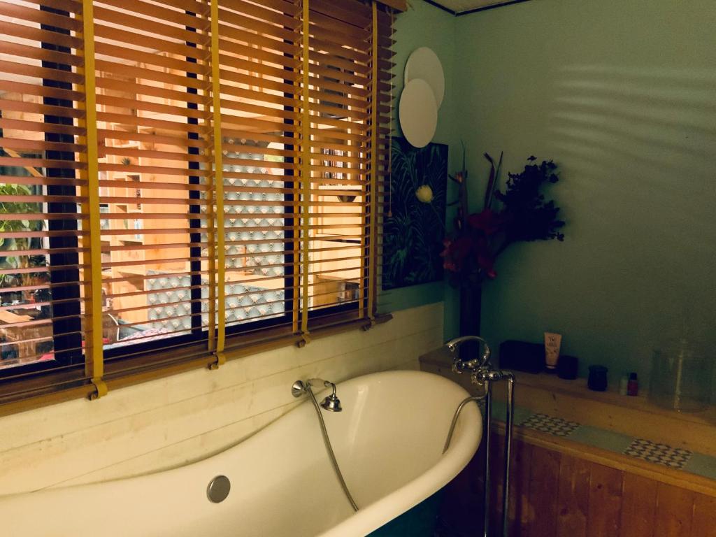 Belle chambre en rez de chaussée avec sauna dans quartier calme - 5