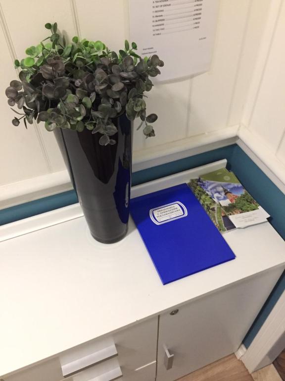 Apartman studio Square, Subotica