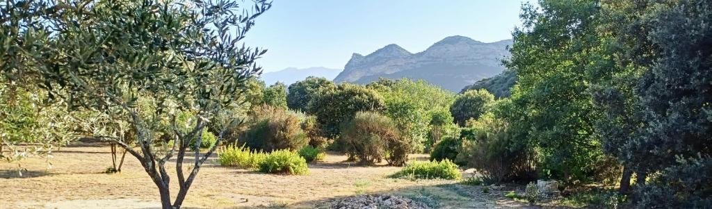 Les jardins de Foata photo