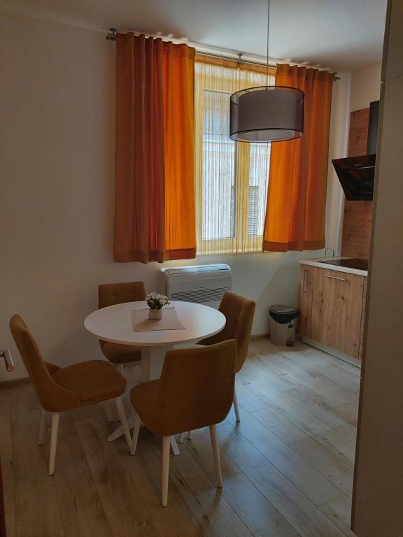 Sarajevo City Center Apartment - 3