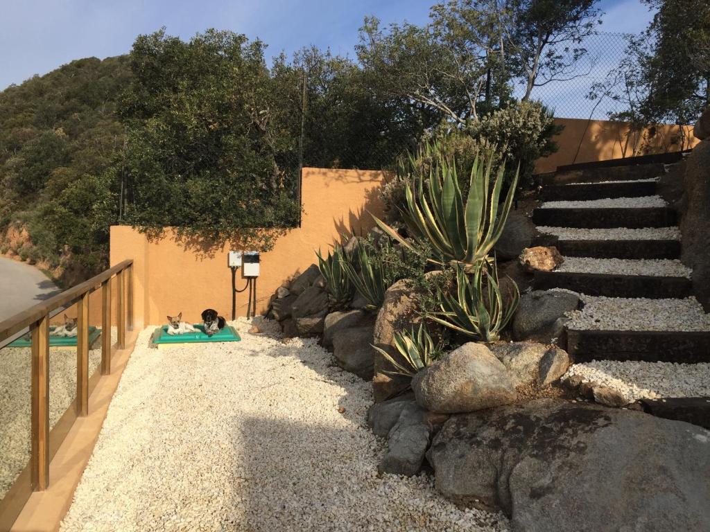 Casa La Gavina Blanca - 3
