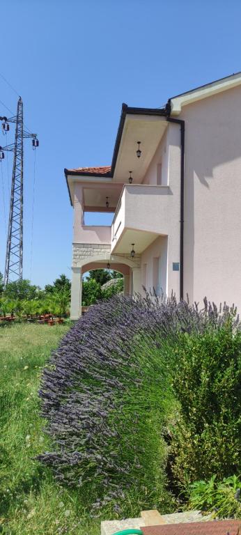 Sun garden apartment - 2