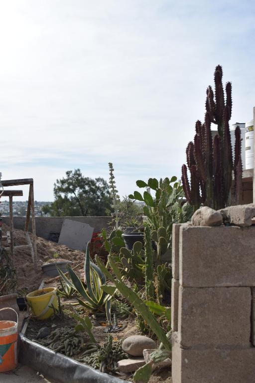 Letras Especiales - 1