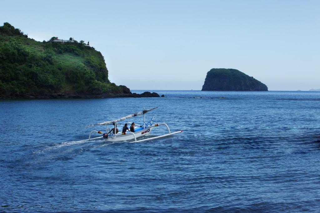 Sports and activities