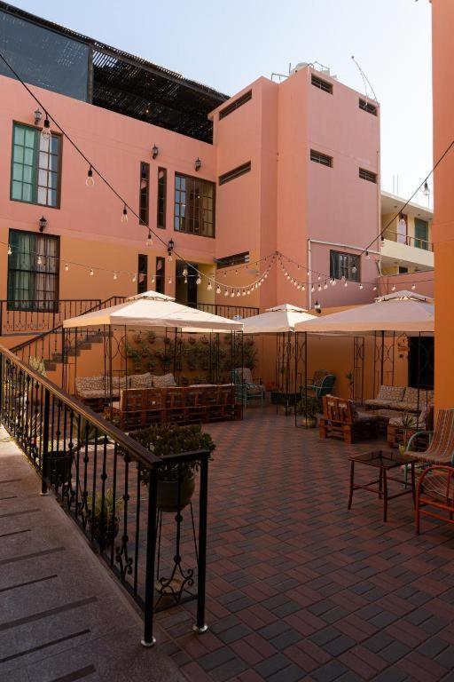 Desert Nights Hostel photo
