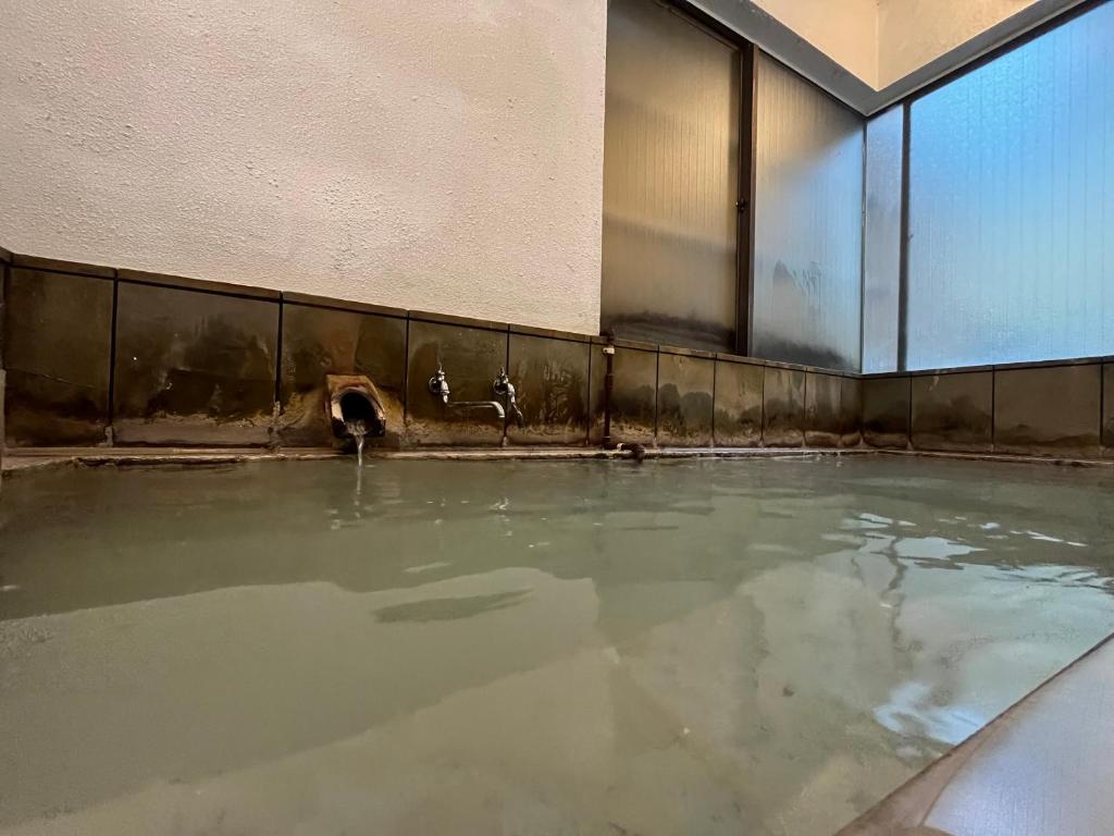 Hot spring bath