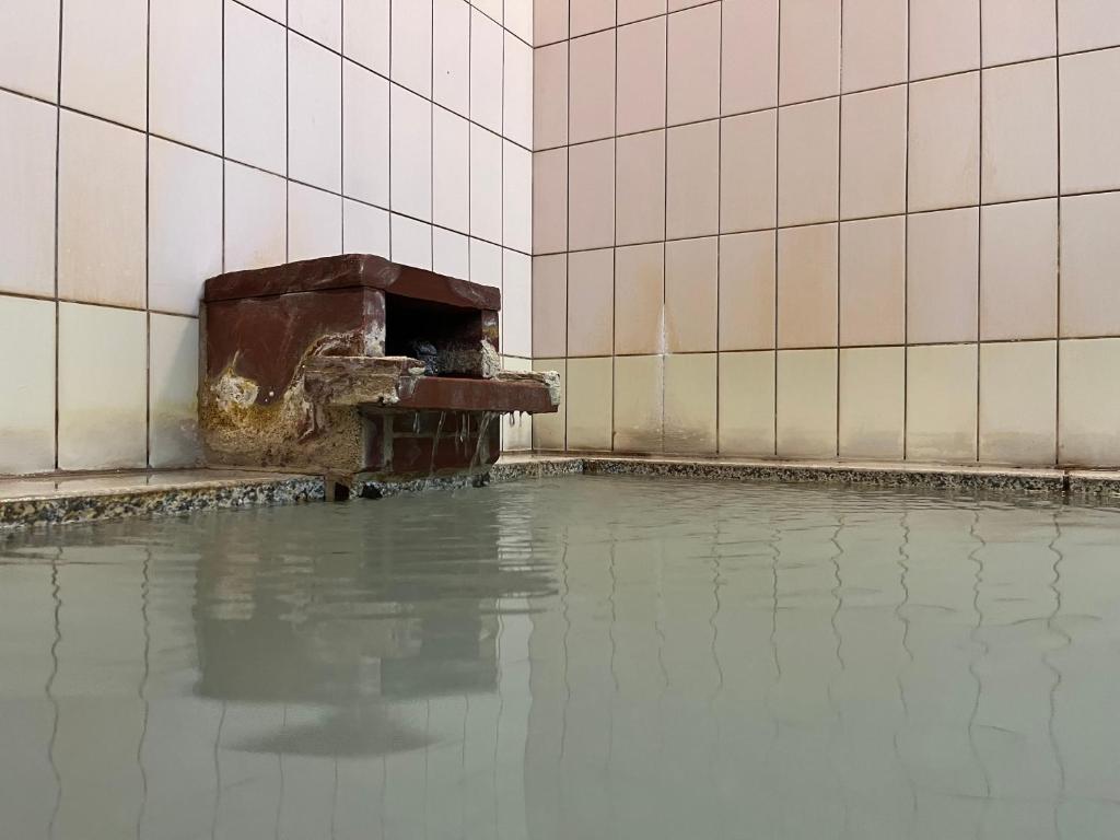 Hot spring bath