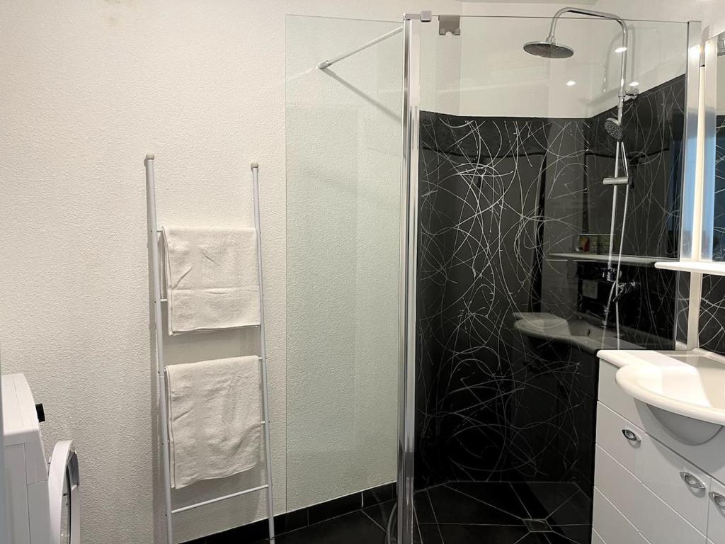 bel appartement climatisé centre - 2