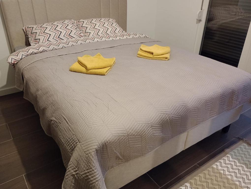 AN Jezero-Apartman Jaki 12 - 2
