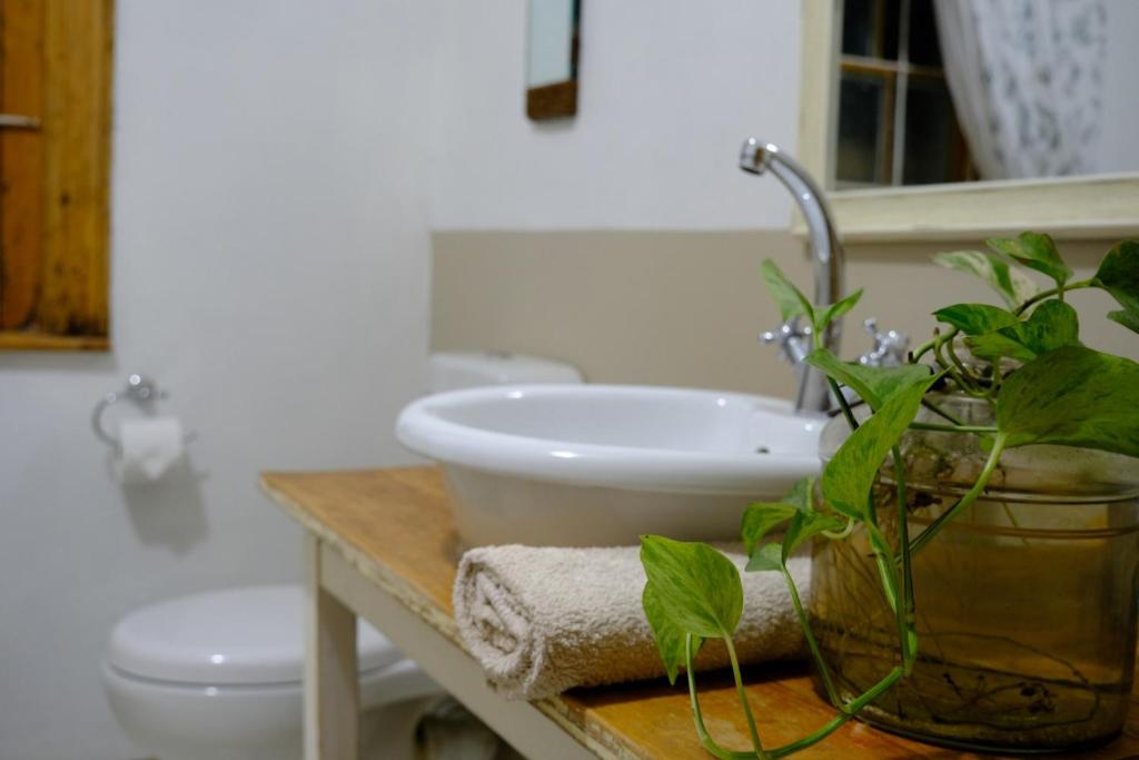 The Hudson Guesthouse photo