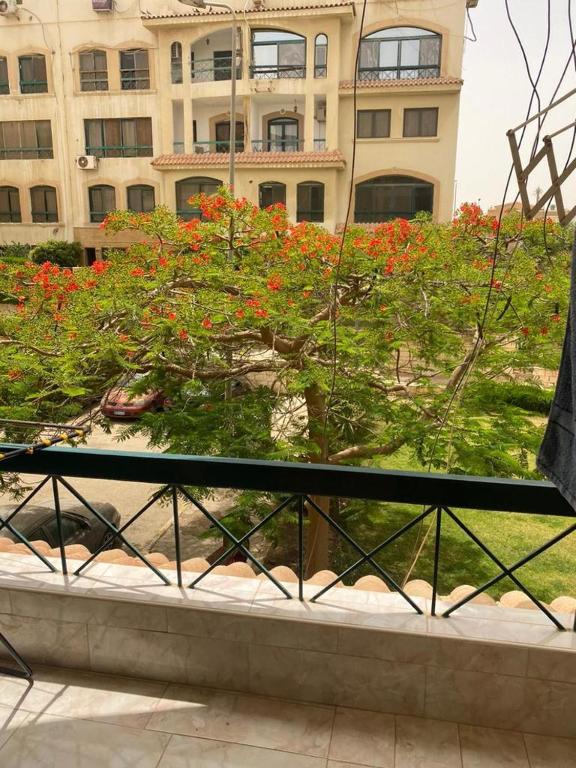 Garden view apartment, Káhira