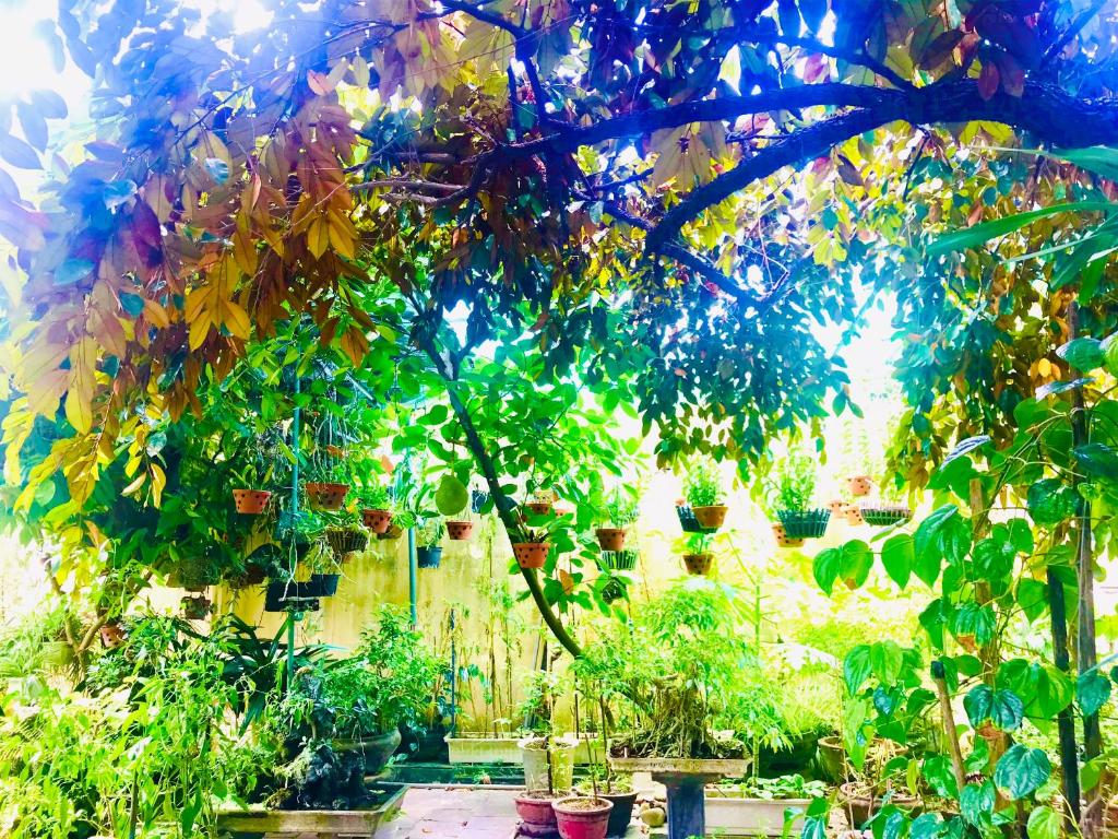 Pebble Homestay photo